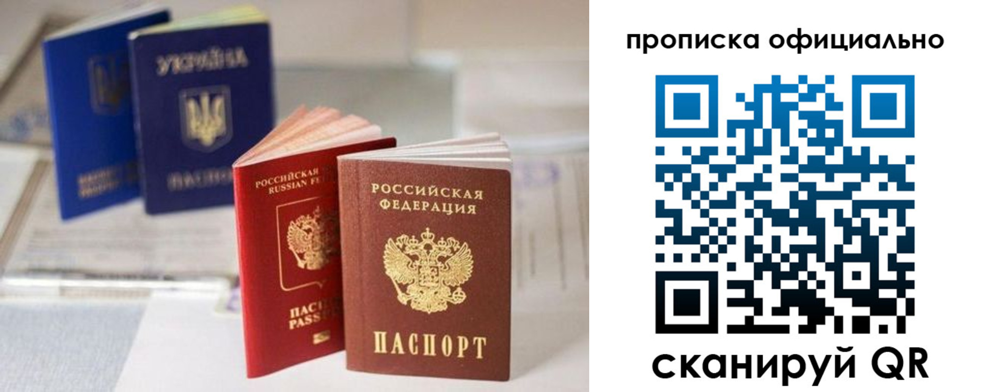 прописка поиск в Новом Осколе